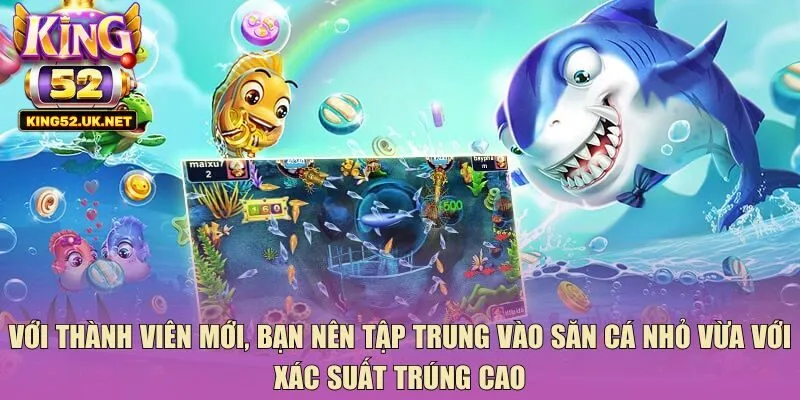 Với thành viên mới, bạn nên tập trung vào săn cá nhỏ vừa với xác suất trúng cao